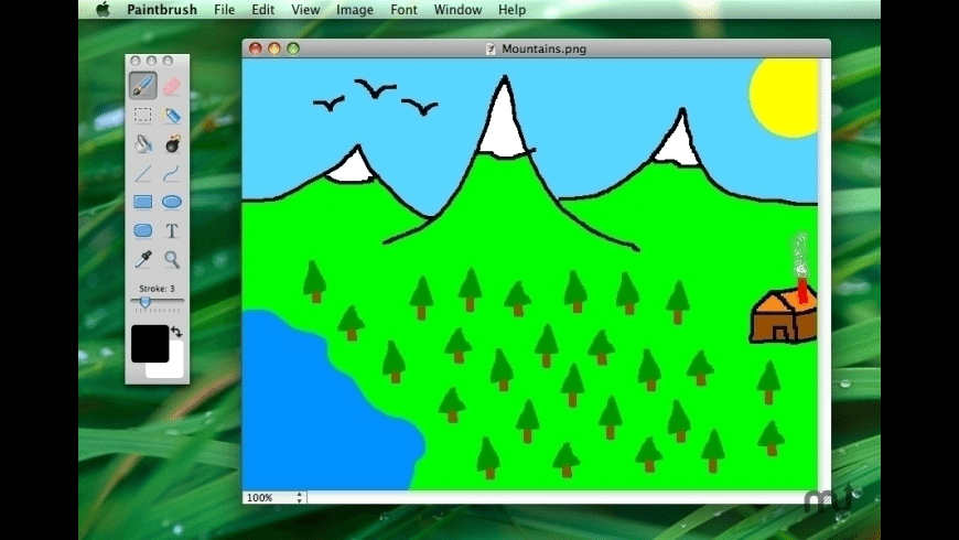 what is the mac application for paint